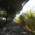 2012-07-19_0293_Urlaub_bearbeitet-1_kl