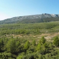 2012-07-22_0498-0502_Urlaub_kl