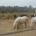 2012-07-26_0901_Urlaub_bearbeitet-1