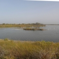 2012-07-27_0922_Urlaub_bearbeitet-1_kl