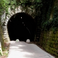 2014-04-13_012_Parenzana