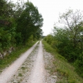 2014-04-13_020_Parenzana