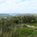 2014-04-14_064_Parenzana