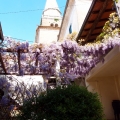 2014-04-14_074_Parenzana