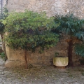 2014-04-14_086_Parenzana