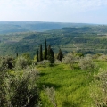 2014-04-14_098_Parenzana