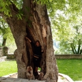 2014-04-14_115_Parenzana