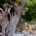 2014-04-14_121_Parenzana