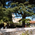 2014-04-14_158_Parenzana