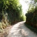 2014-04-14_177_Parenzana2014-04-14_177_Parenzana