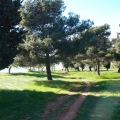 2014-04-15_237_Parenzana