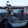 2014-04-15_242_Parenzana