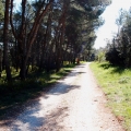 2014-04-16_259_Parenzana