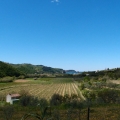 2014-04-16_261_Parenzana