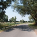 2013-07-16_0340_Loire