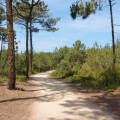 2013-07-17_0417_Radreise