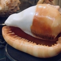 2013-07-18_0476_Radreise