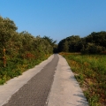 2013-07-20_0649_Ile-de-Re
