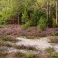 2013-07-25_1161_Radreise