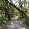 2013-07-26_1237_Radreise