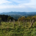 OLYM2013-07-28_1420a_Baskenland
