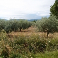 2013-08-03_2149_Radreise