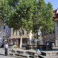 2006-07-19_005_MD_Bamberg