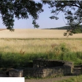 2006-07-21_021_MD_Alsfeld